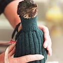 The great penguin sweater fiasco